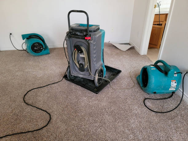 Best Water damage restoration specialists  in Portsmouth, OH