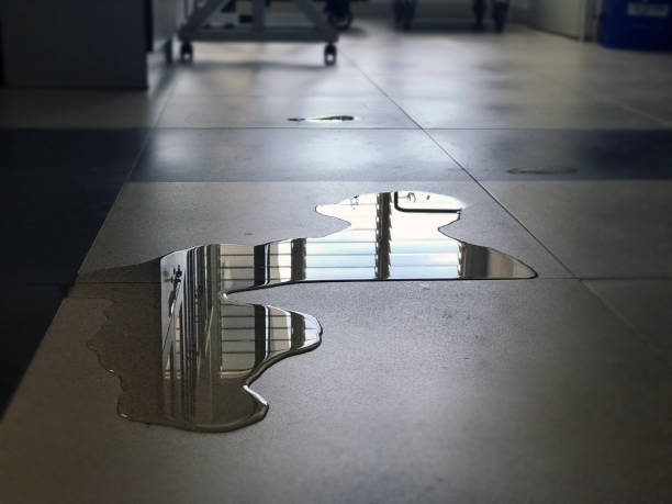 Best Emergency water damage restoration  in Portsmouth, OH