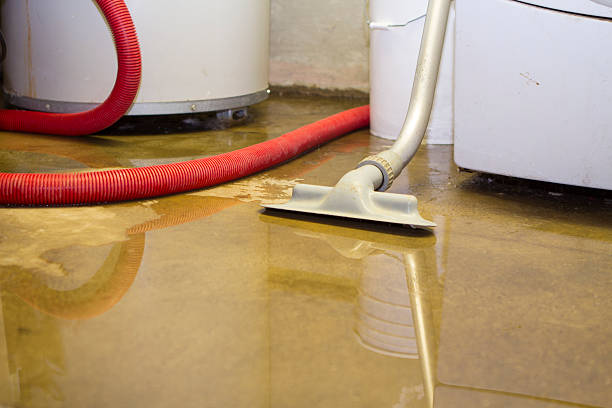 Best Water damage restoration near me  in Portsmouth, OH