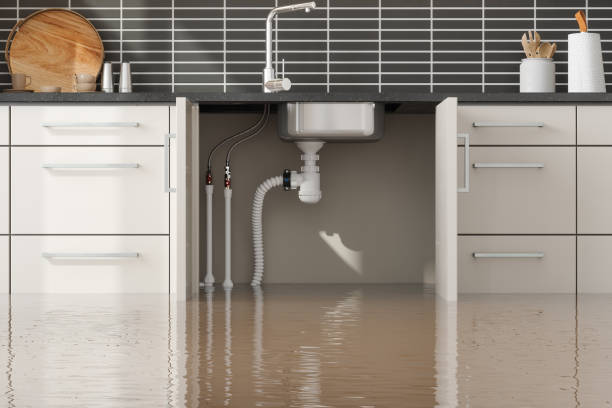 Best Commercial water damage restoration  in Portsmouth, OH
