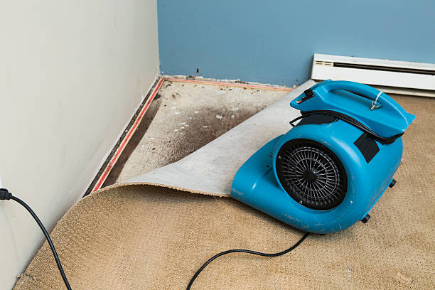 Best 24/7 water damage repair  in Portsmouth, OH